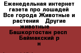 Еженедельная интернет - газета про лошадей - Все города Животные и растения » Другие животные   . Башкортостан респ.,Баймакский р-н